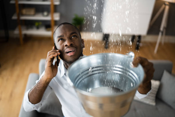Best Water damage restoration mold remediation  in South Gate Ridge, FL