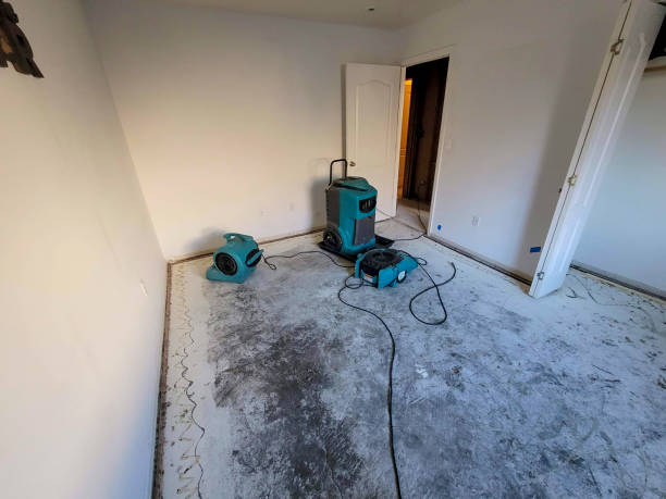 Best Flood restoration services  in South Gate Ridge, FL