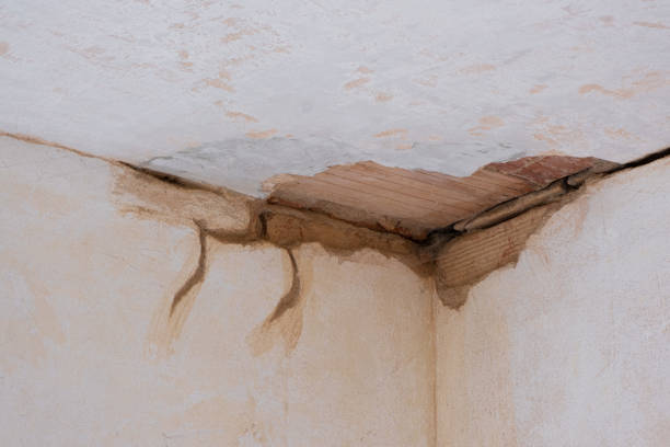Best Carpet water damage restoration  in South Gate Ridge, FL