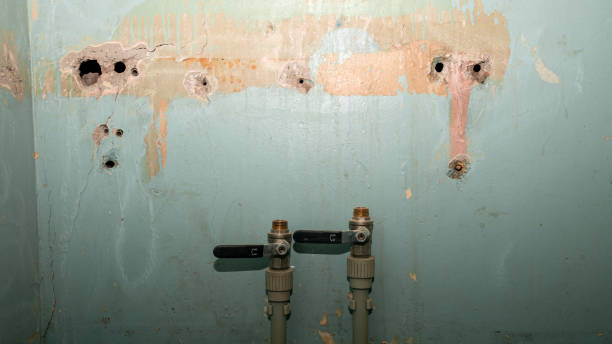 Best Commercial water damage restoration  in South Gate Ridge, FL