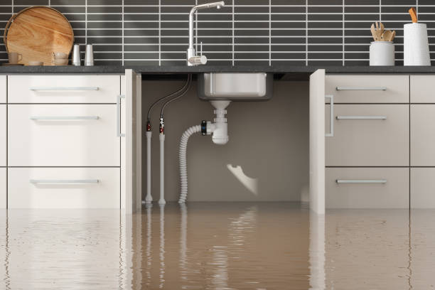 Best Water damage cleanup near me  in South Gate Ridge, FL