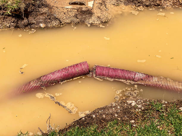 Best Water damage repair service  in South Gate Ridge, FL