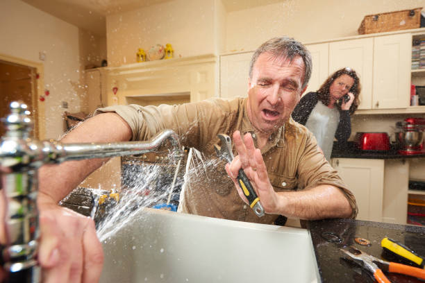 Best Flooded house restoration  in South Gate Ridge, FL